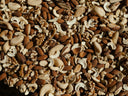 Top Biotin-Dense Nuts and Seeds You Should Eat Every Day