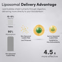 Liposomal CoQ10/PQQ Capsules