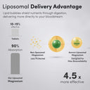 Liposomal Magnesium Capsules