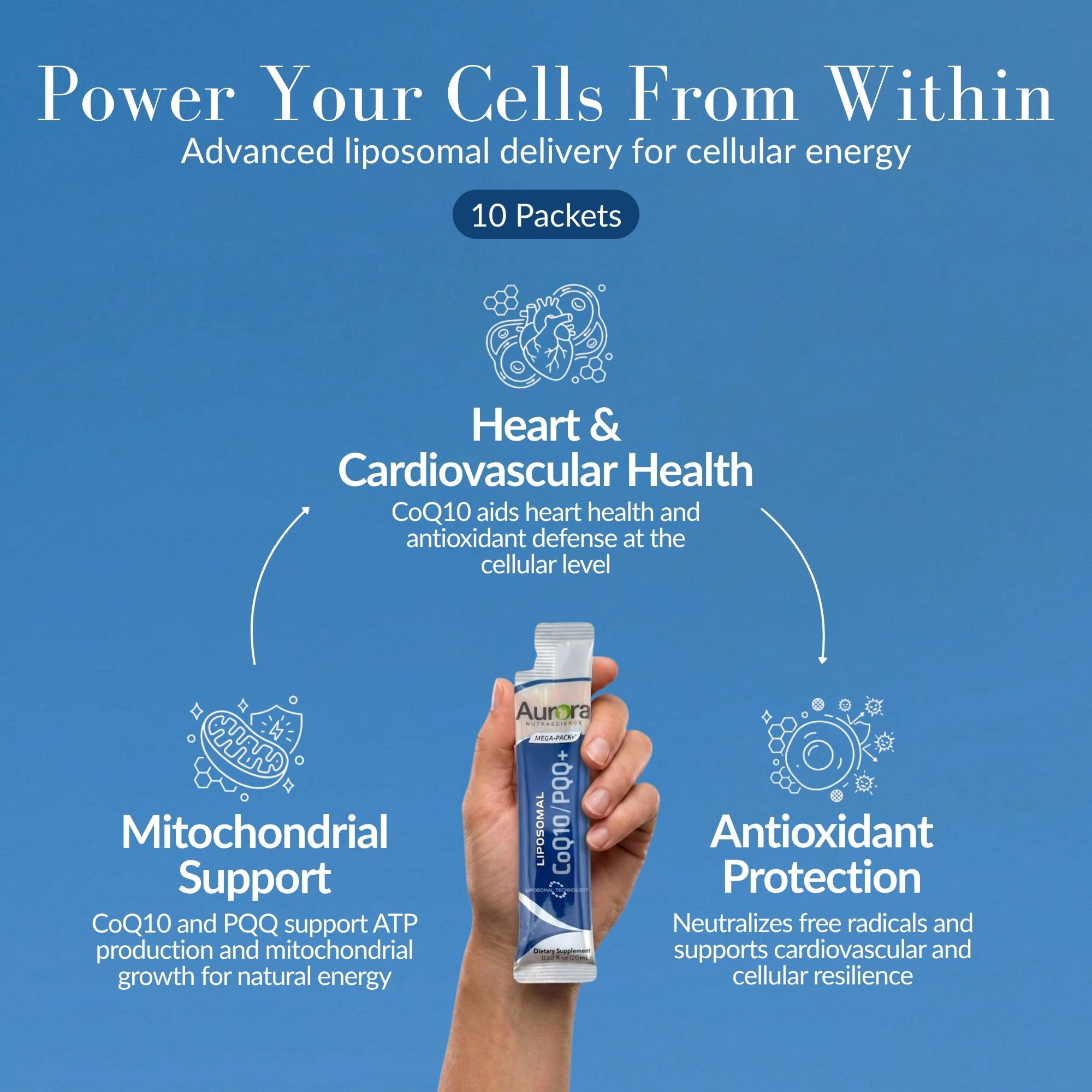 Liposomal CoQ10 + PQQ + Vitamin C – Aurora Nutrascience